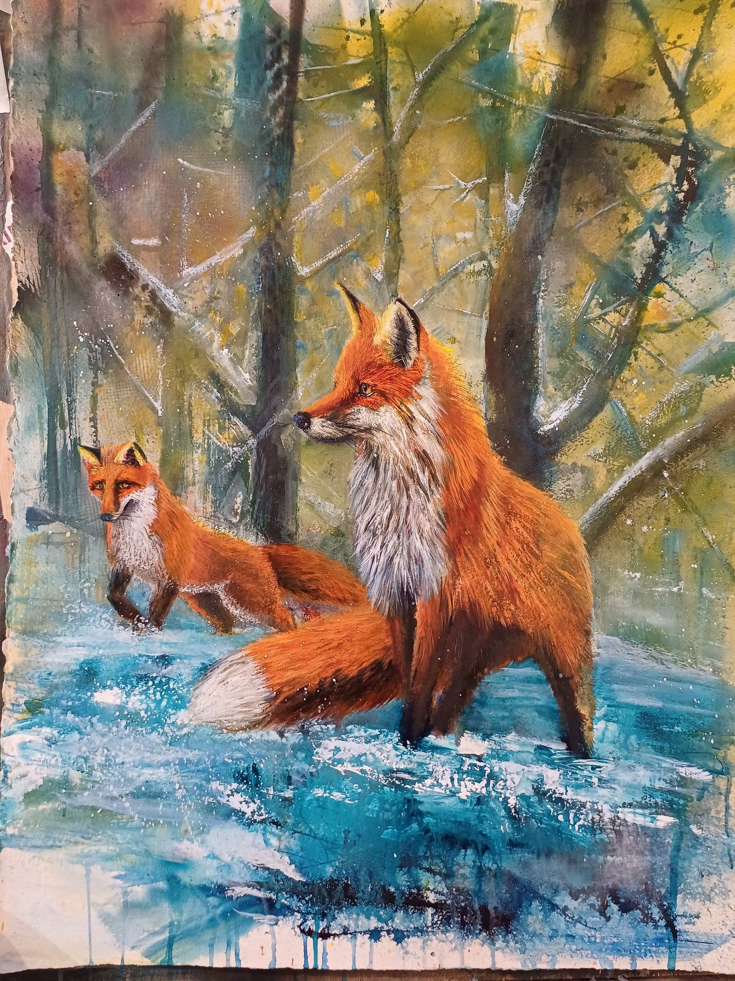 SOLD - Tail of Two Foxes - ON EXHIBIT AT Evan Gallery Penrith - Painting in Mixed Media on Archers Cotton Rag Paper - 765mm x 570mm