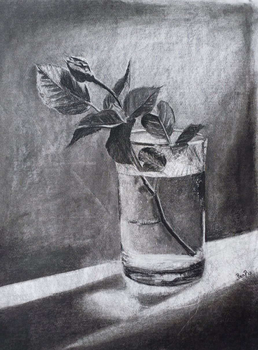 Shine Buddy - Drawing in Charcoal on Artists Quality Paper - 580mm x 435mm