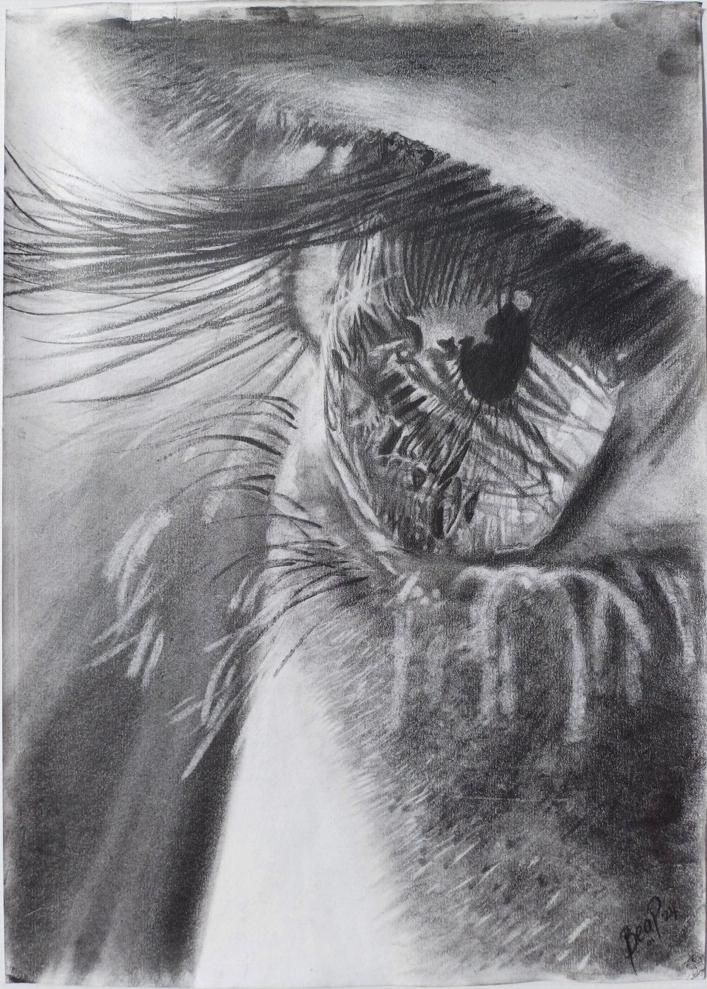 A Closer Look - SOLD - Drawing in Graphite on Artists Quality Paper - 420mm x 295mm