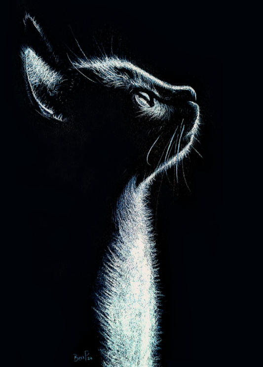 Ebony Feline - Print