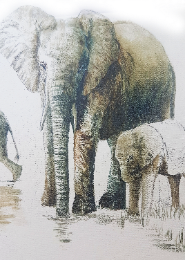 Elephant Migration - A5 Print of Work in progress 3