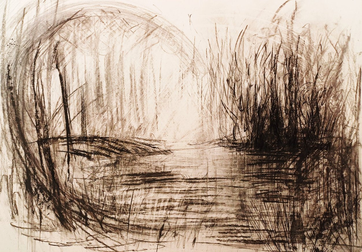 Wonders of the Marsh - Drawing in Charcoal on Artists Quality Paper - 590mm x 840mm
