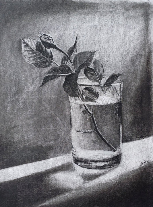 Shine Buddy - Drawing in Charcoal on Artists Quality Paper - 580mm x 435mm