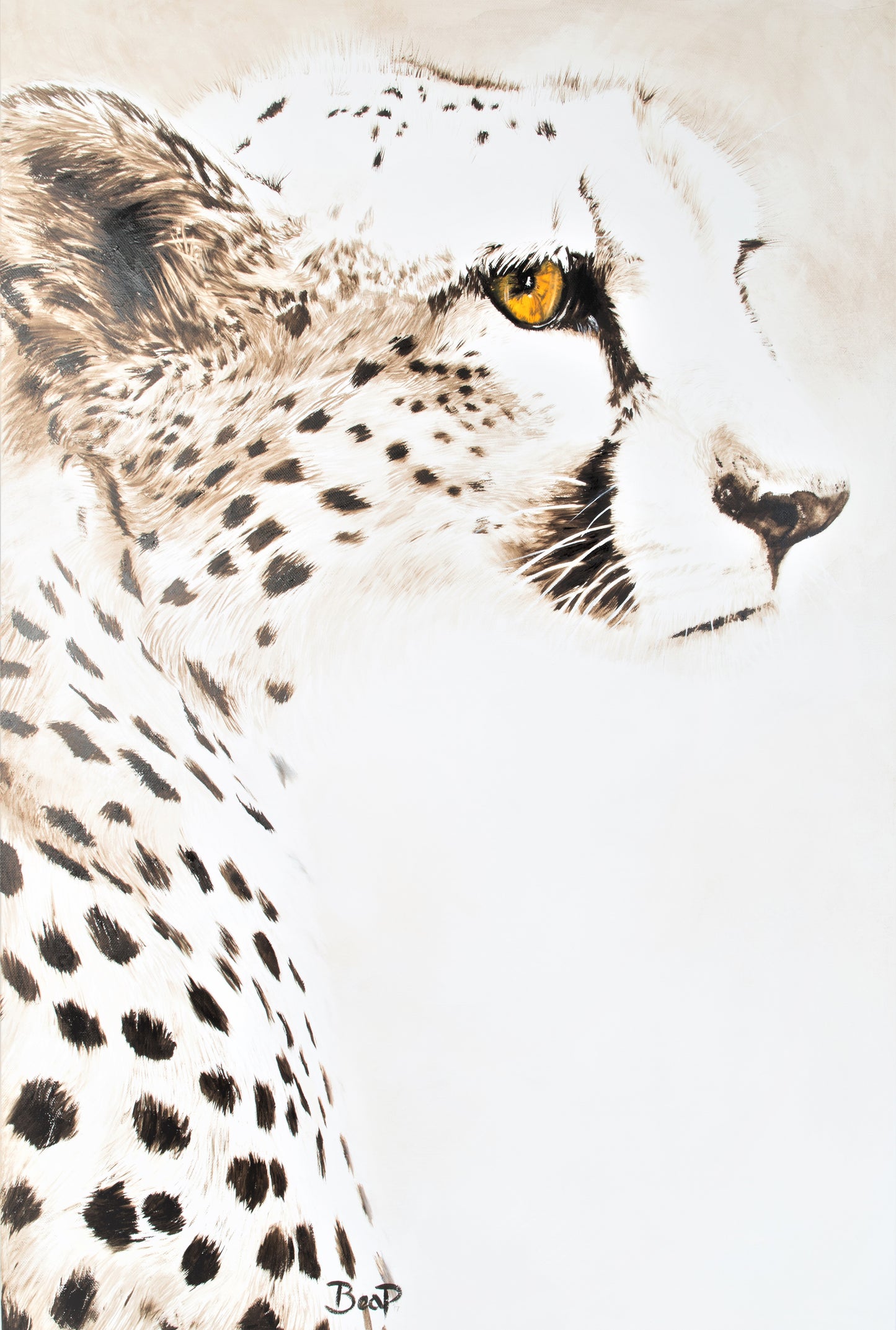 Sense Master - Africa Dry Series - Print - NEW PRICES COMING