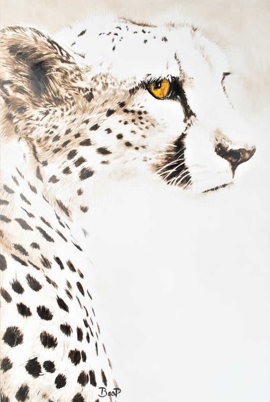 Sense Master - Africa Dry Series - Print - NEW PRICES COMING